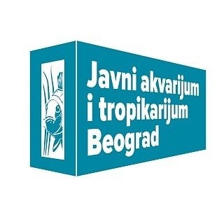 47055633 511363189376366 1937799565038059520 n